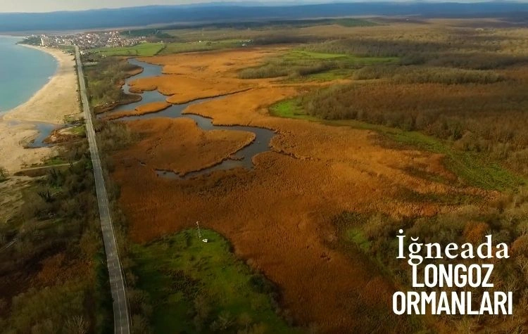 İğneada Longoz Ormanları